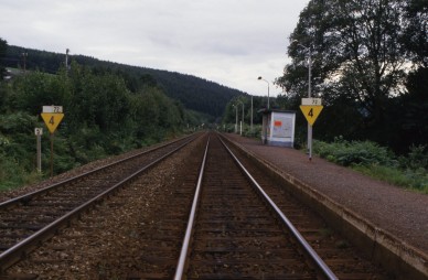 Coo - TH 83-11265.jpg